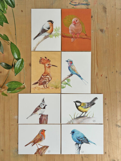 A5 Animal Prints