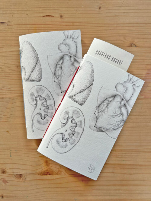 Hand-bound notebook "Organs"