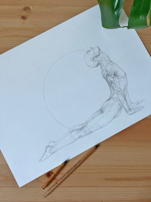 Original drawing - Urdhva Mukha Shvanasana